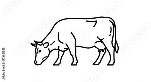 Black and white line drawing of a cow grazing in a field