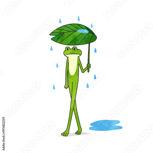 The Frog and the Leaf Umbrella カエルと葉っぱの傘