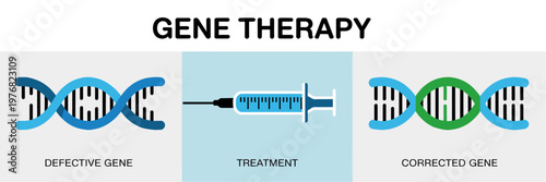 Gene Therapy Infographic Flat Vector Genetic Treatment Concept Showing Defective Gene Delivery Process and Corrected DNA