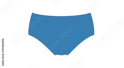 Blue Womens Underwear Briefs Swimwear.