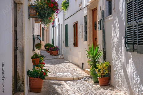 White houses with potted plants and flowers on the doors on a beautiful day, path made with long steps, color image with copyspace