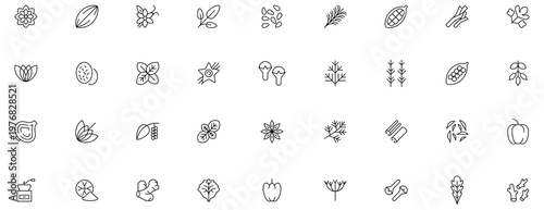 Set of 35 spices and herbs line icons, illustrating a variety of aromatic ingredients for cooking.