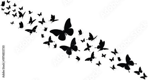Flying butterfly silhouettes swarm in dynamic motion, elegant black insect shapes isolated on white background, nature design element for decoration and artwork