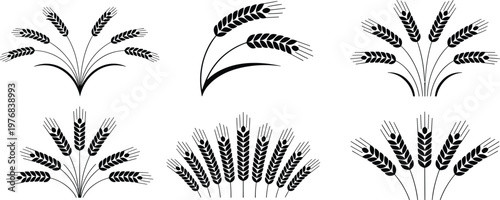 Set of hand drawn organic wheat stalk silhouettes and barley ear icons for rustic bakery branding, agricultural harvest symbols, and natural grain food packaging design.