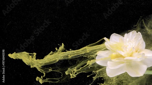 White daffodil underwater with yellow trail streaming into negative space, cinematic product shoot feel focusing on elongated motion and graceful