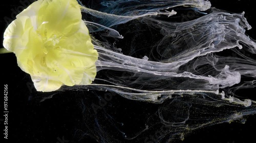 Yellow flower with streaming ribbons, long white ribbons flowing past bloom like fabric, motion art capture with wispy textures and strong black