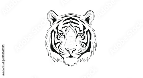 Striking Tiger Face Illustration, Fierce Animal Portrait, Black and White Line Art