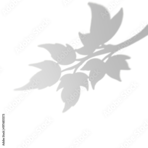 Realistic Plant Branch Shadow Overlay