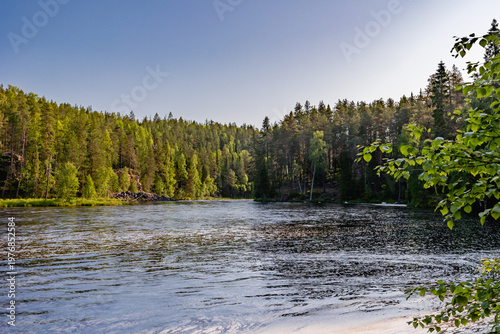 beautiful summer landscape at sunset