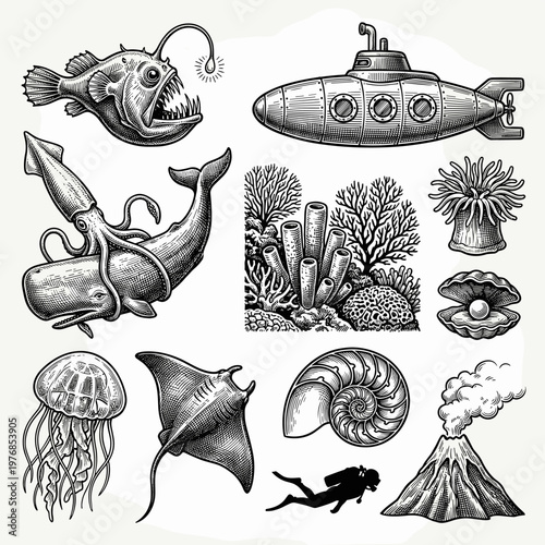 Deep sea marine life set: anglerfish, giant squid, whale, submarine, and corals, engraving style
