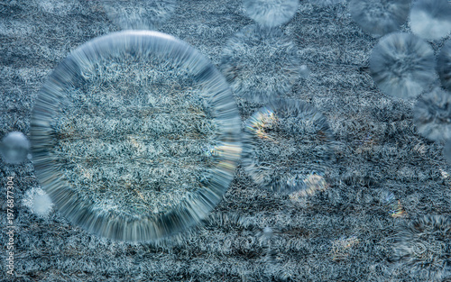 Fotografie Oil drops mixing with water creating abstract patterns