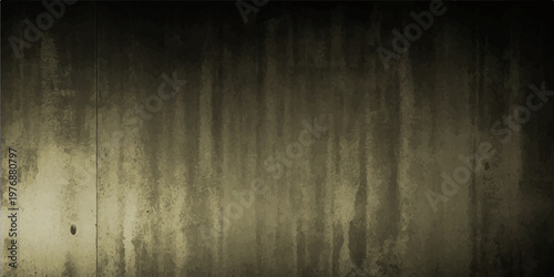 a weathered, textured wall, showcasing the beauty of age and time with its rustic charm. conveying a sense of history and understated elegance.