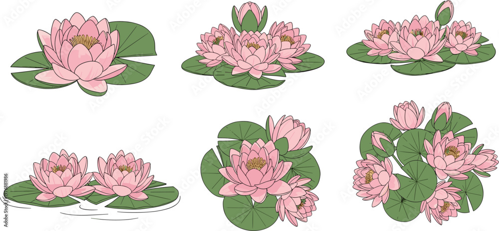Εκτύπωση καμβά Water Lily Blossom Collection with Pink Flowers on Green Leaves, Tranquil Nature
