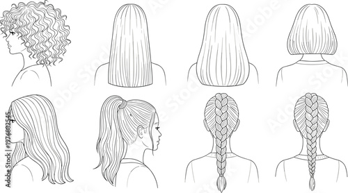 Various Hairstyles Collection: Curly, Straight, Bob, Ponytail, and Braided Hair Vector Illustration for Beauty and Fashion Designs