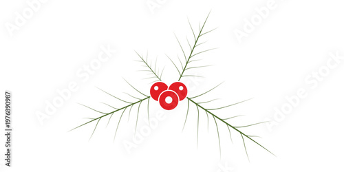 green holly and red berries for Christmas decoration transparent background