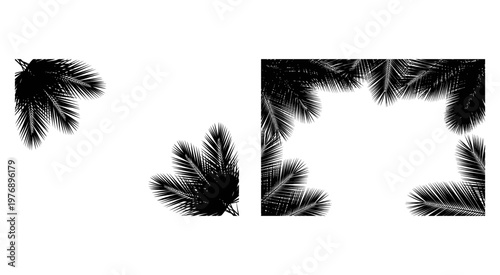 Elegant Tropical Palm Leaf Vector Silhouette Border Design