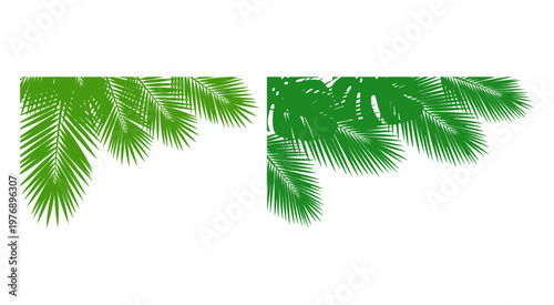 Tropical Green Palm Leaf Vector Silhouette Border Design