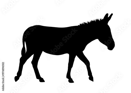 Donkey  silhouette, side view , vector illustraton