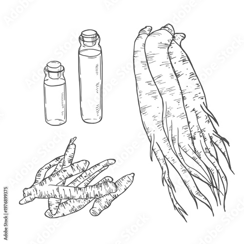 Set ginseng. Root, slice, bunch tied by rope, leaves, mortar, pestle, glass bottle of tincture. Vector engraving vintage black illustration for traditional medicine. Isolated on white
