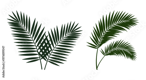 Elegant Tropical Palm Leaf Vector Silhouette Border Collection