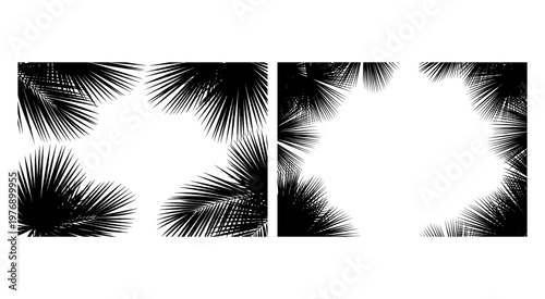 Elegant Tropical Palm Leaf Vector Silhouette Border Set