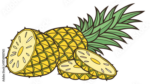 Vector illustration of a ripe pineapple and slices, isolated on a white background. For menus, packaging, tropical design, advertising, social media, and posters. Skin texture, juicy flesh.