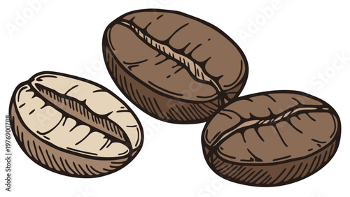 Vector image of coffee beans, isolated on a white background. For packaging, menu design, websites, and promotional materials, posters, flyers, social media, logos, icons, merchandise, and printed pro
