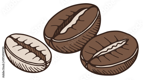 Vector image of coffee beans, isolated on a white background. For packaging, menu design, websites, and promotional materials, posters, flyers, social media, logos, icons, merchandise, and printed pro
