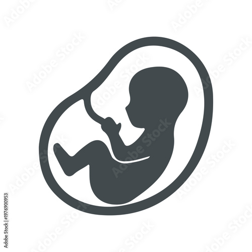 Fetus in Womb Icon Illustration