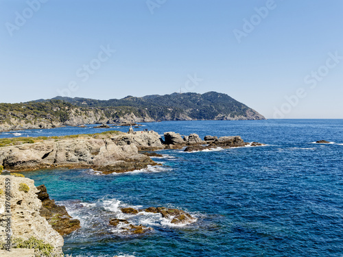 View of rocky southern shore of Gaou island in Le Brusc (Six-Four-les-Plages, Var, France) on clear blue sky day of spring