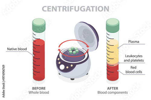 Whole blood in the test tube before and after centrifugation. Blood components, plasma, red blood cells, leukocytes and platelets. 3d flat isometric vector poster.