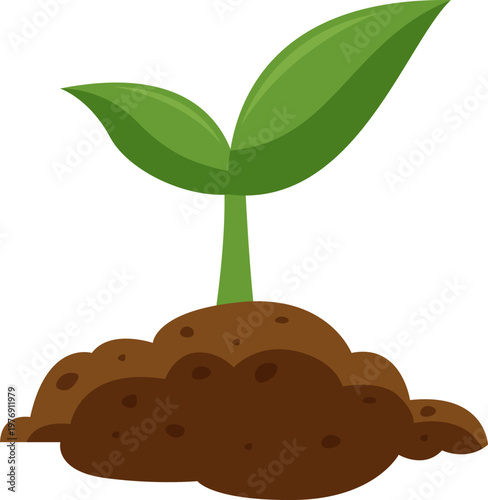 Soil Nurtured Seedling