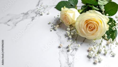 A beautiful closeup of a white rose with water drops on a white background captures the delicate petals and floral beauty of a single blossom for a romantic wedding gift or nature decoration