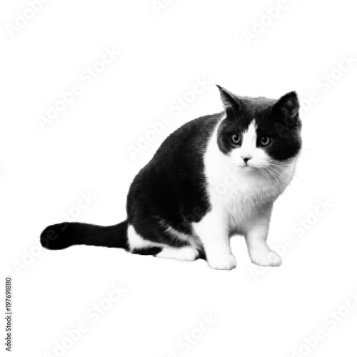 Halftone illustration of black and white cat sitting, isolated on white background. Domestic pet concept in monochrome retro print style.