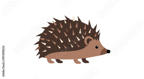 A cute brown hedgehog with a darker face and textured spiky back stands in a clean profile pose against a bright white background with soft lighting.