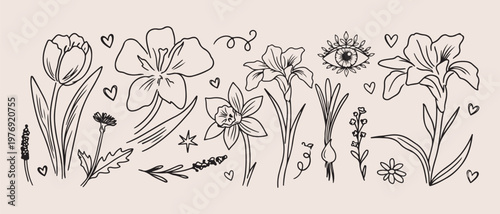 elegant floral lily doodles, botanical flower line art, aesthetic spring garden sketches, hand drawn flower bouquet, creative floral element drawings, minimal nature flower art, scrapbook botanical do
