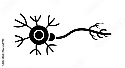 Detailed Black and White Illustration of a Neuron Cell.