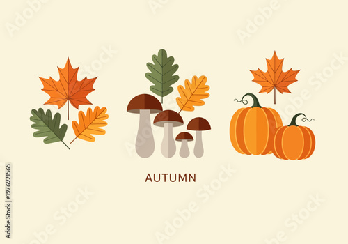 Autumn Season Vector Illustration Set with Pumpkins, Wild Mushrooms, and Colorful Maple Oak Leaves in a Minimalist Flat Graphic Style