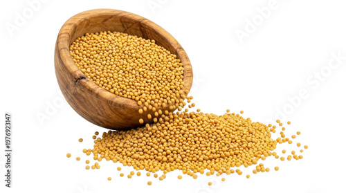 Mustard seeds spilling from wooden bowl isolated white background