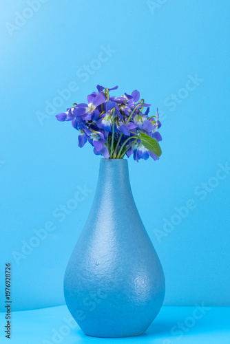 wild violet flowers in a vase