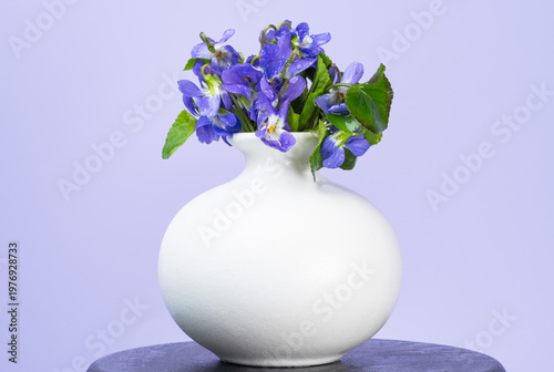 wild violet flowers in a vase