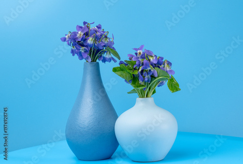 wild violet flowers in a vase
