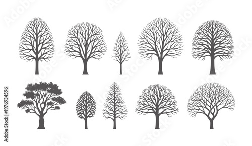 Collection of eight dark grey deciduous and evergreen tree silhouettes white nature