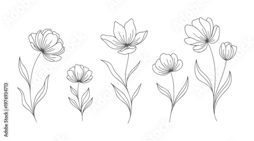 Delicate line floral arrangement with five blooming flowers and leaves petal leaf