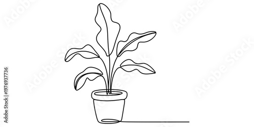 Minimalist continuous line drawing of a potted houseplant with lush leaves on a white background Vector, illustration