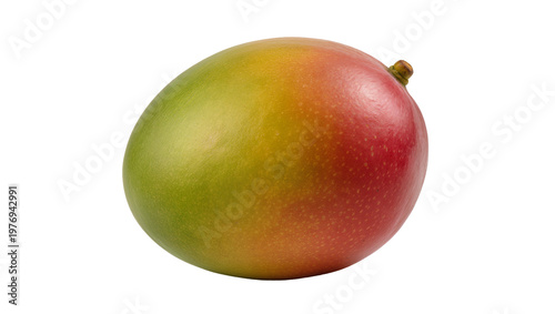 Ripe green yellow red mango fruit with stem