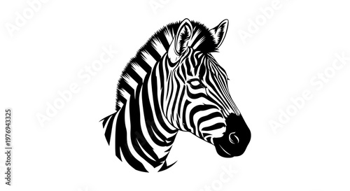 Photography Zebra head silhouette features detailed monochrome stripes in a clean and minimalist artistic style
