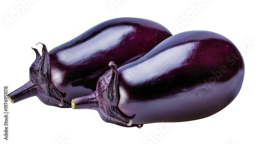 Canvas-taulu Dark purple Eggplant pair with green stem and calyx
