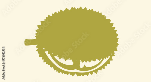 Graphic illustration of a durian fruit with spiky exterior isolated