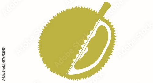 Graphic illustration of durian fruit with cut section and spiky exterior